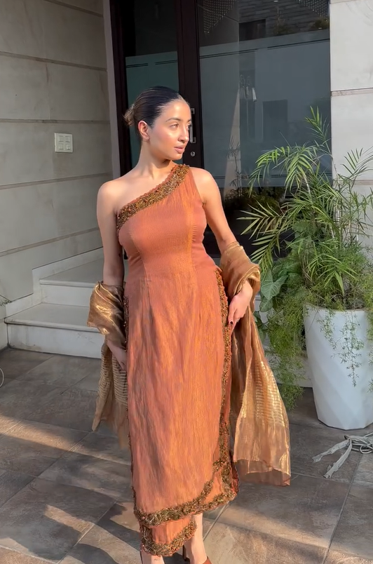 Havy Muslin Silk Suit in Brown