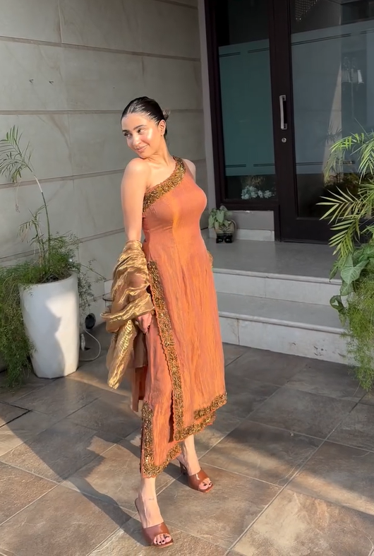 Havy Muslin Silk Suit in Brown